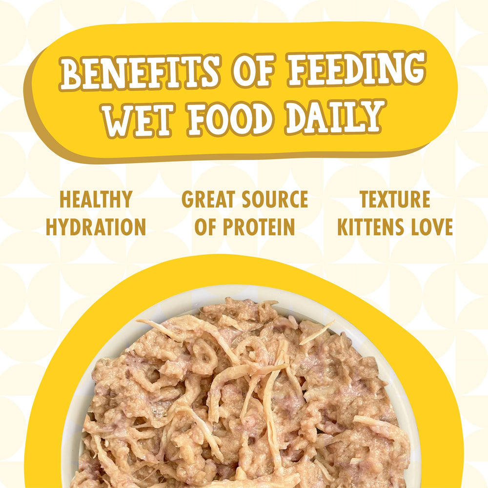 Weruva kittens in the kitchen carrageenan-free formula with no artificial colors