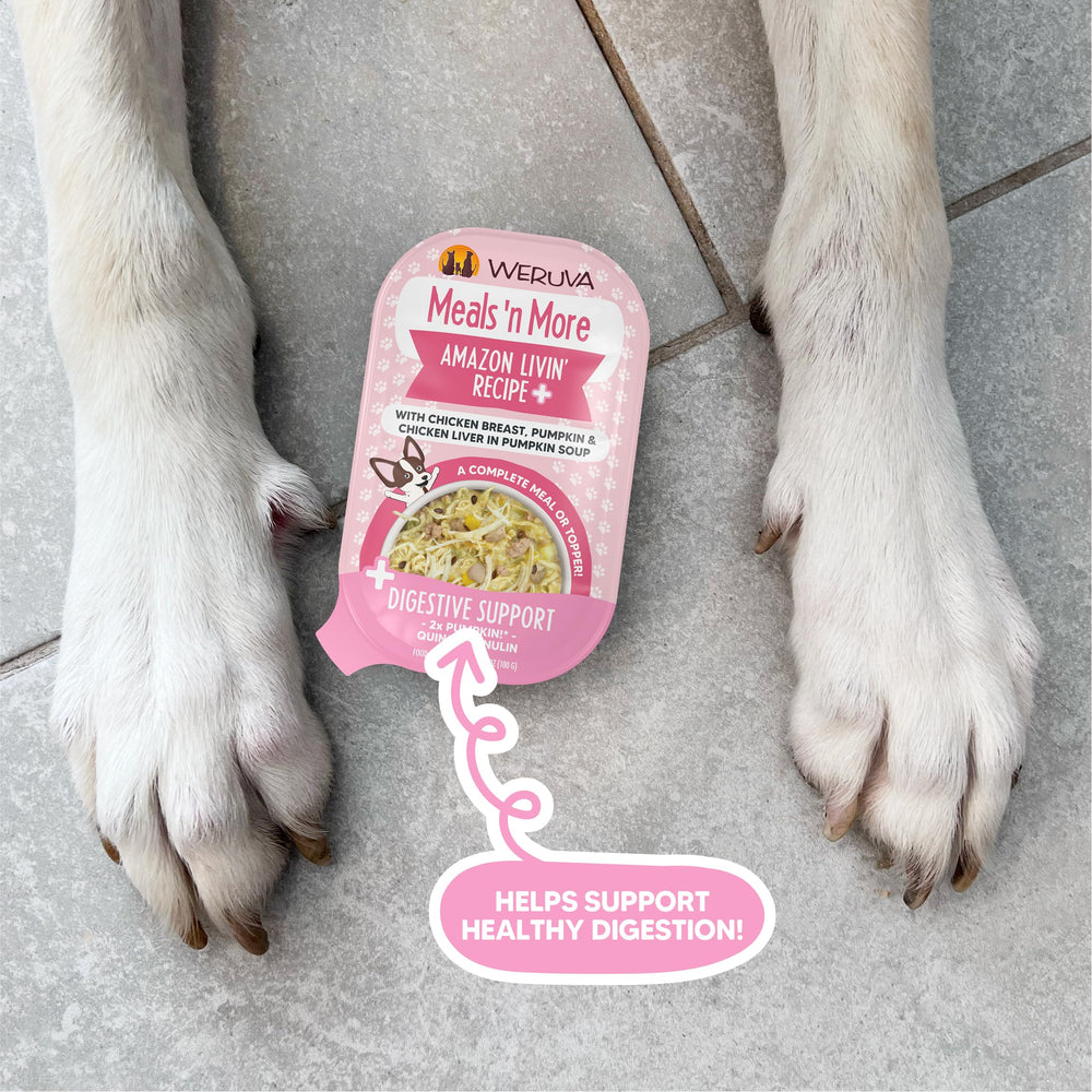 Weruva Meals 'n More chunked chicken slice, appealing protein in a cup.