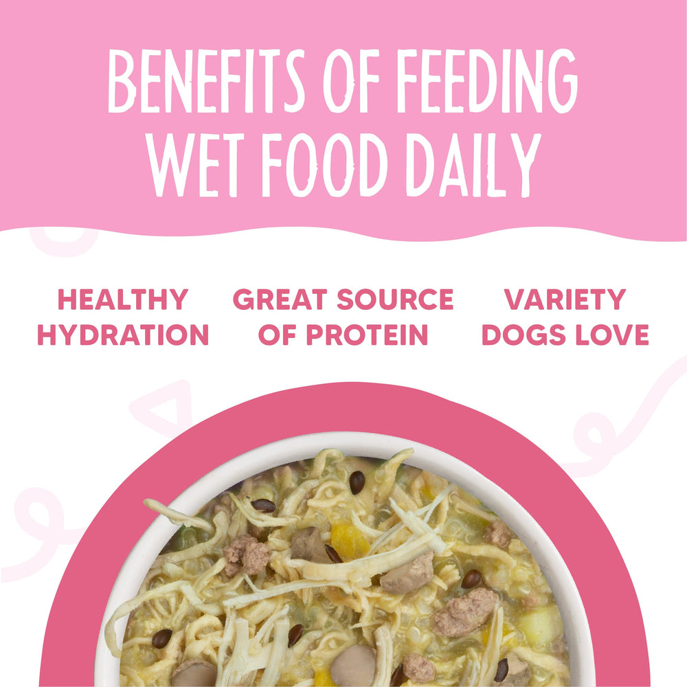 Weruva Meals 'n More grain-free cup, suitable for dogs with sensitive diets.