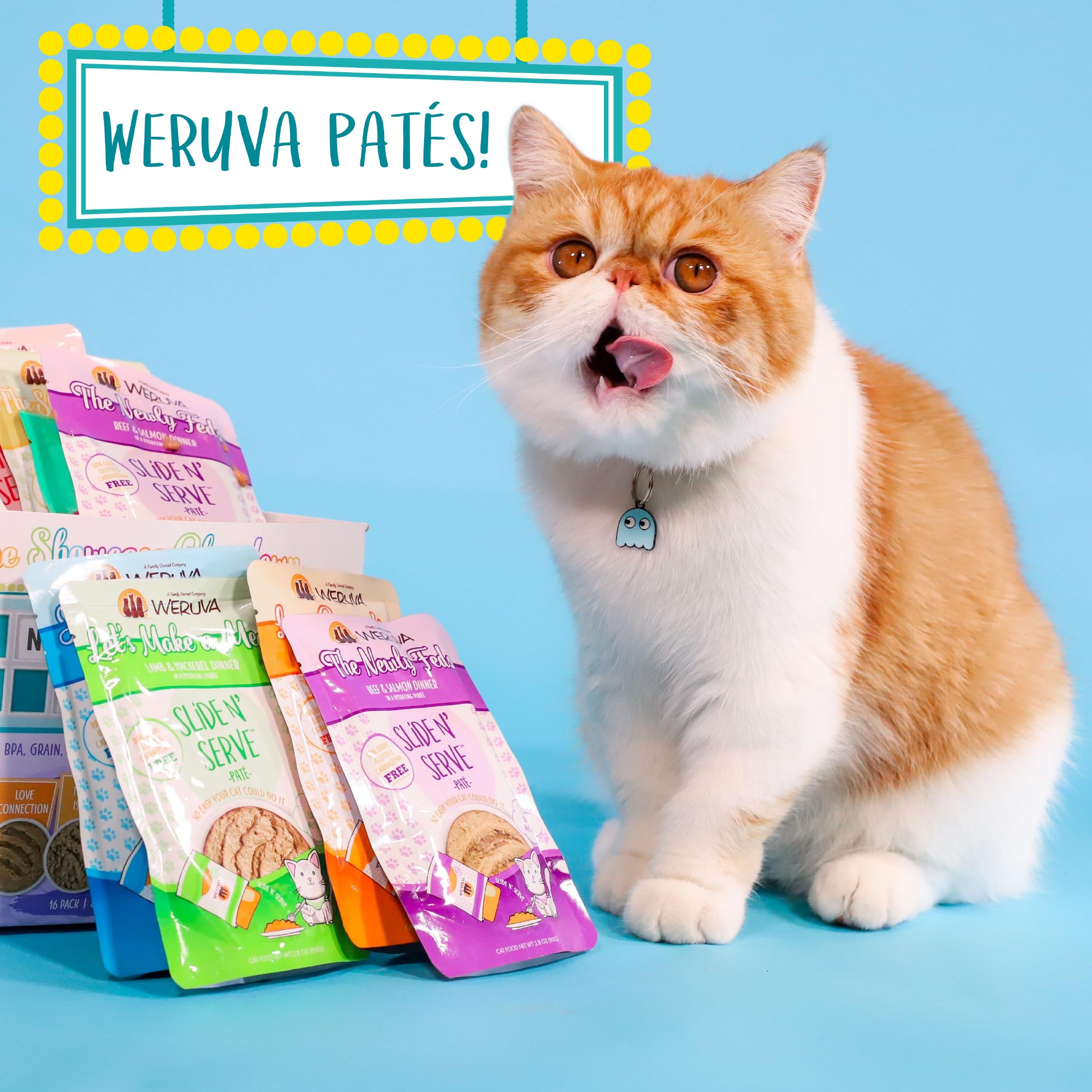 A tasty, moisture-rich cat meal option from Weruva.