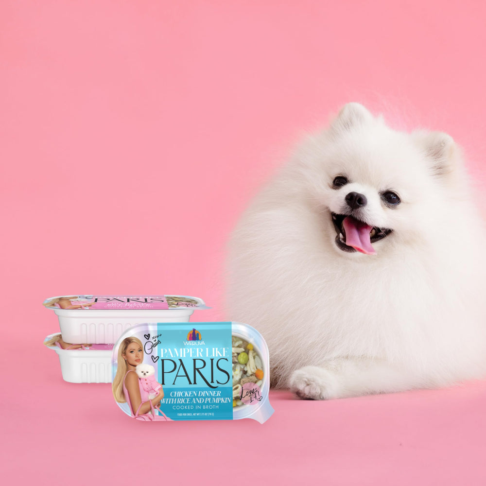 Dog enjoying Weruva Pamper Like Paris meal during a cozy mealtime.