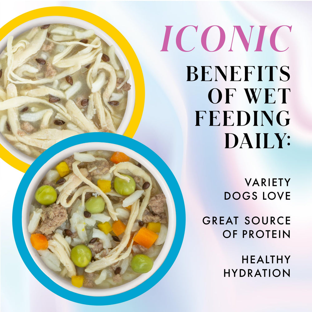 Weruva Pamper Like Paris grass-fed beef recipe in broth close-up showcases hearty protein.