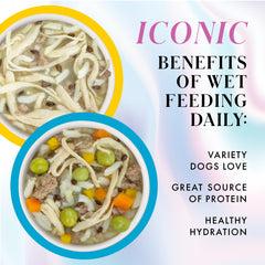 Weruva Pamper Like Paris grass-fed beef recipe in broth close-up showcases hearty protein.