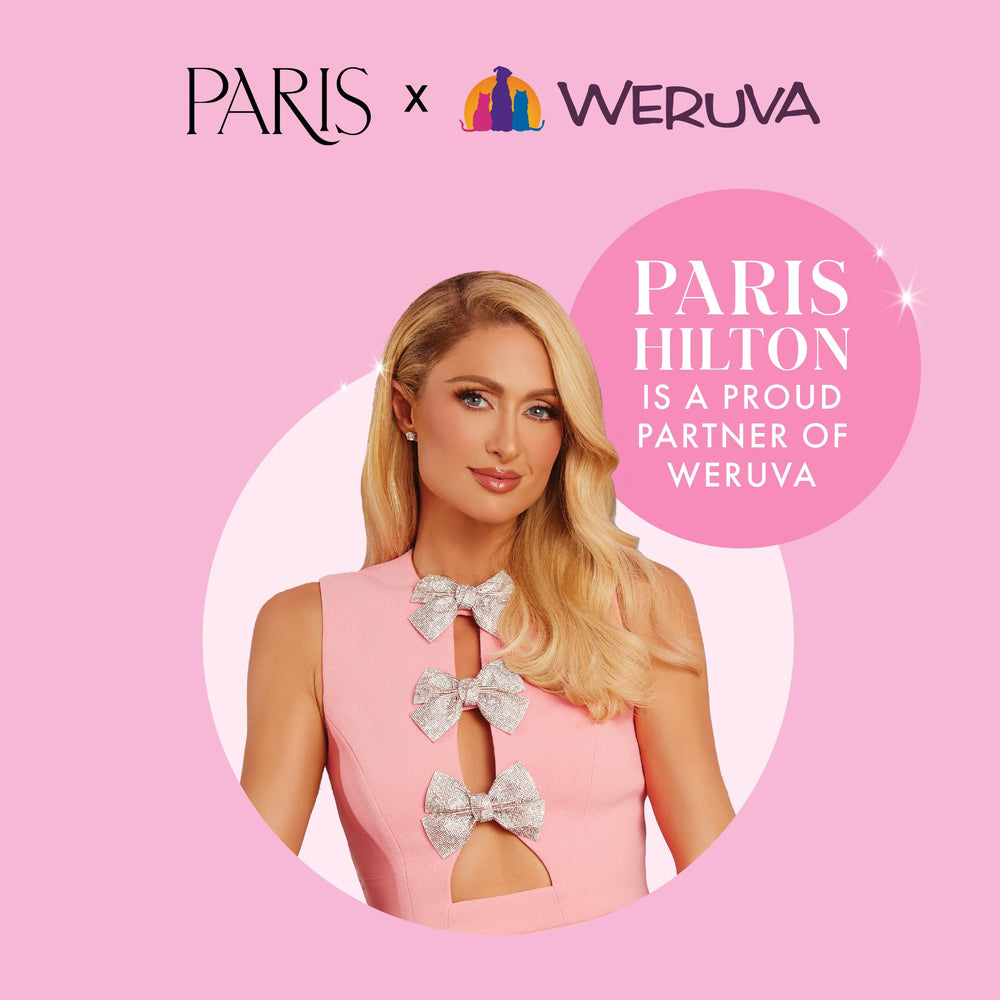 Weruva Paris Hilton Pamper Like Paris no artificial colors image.