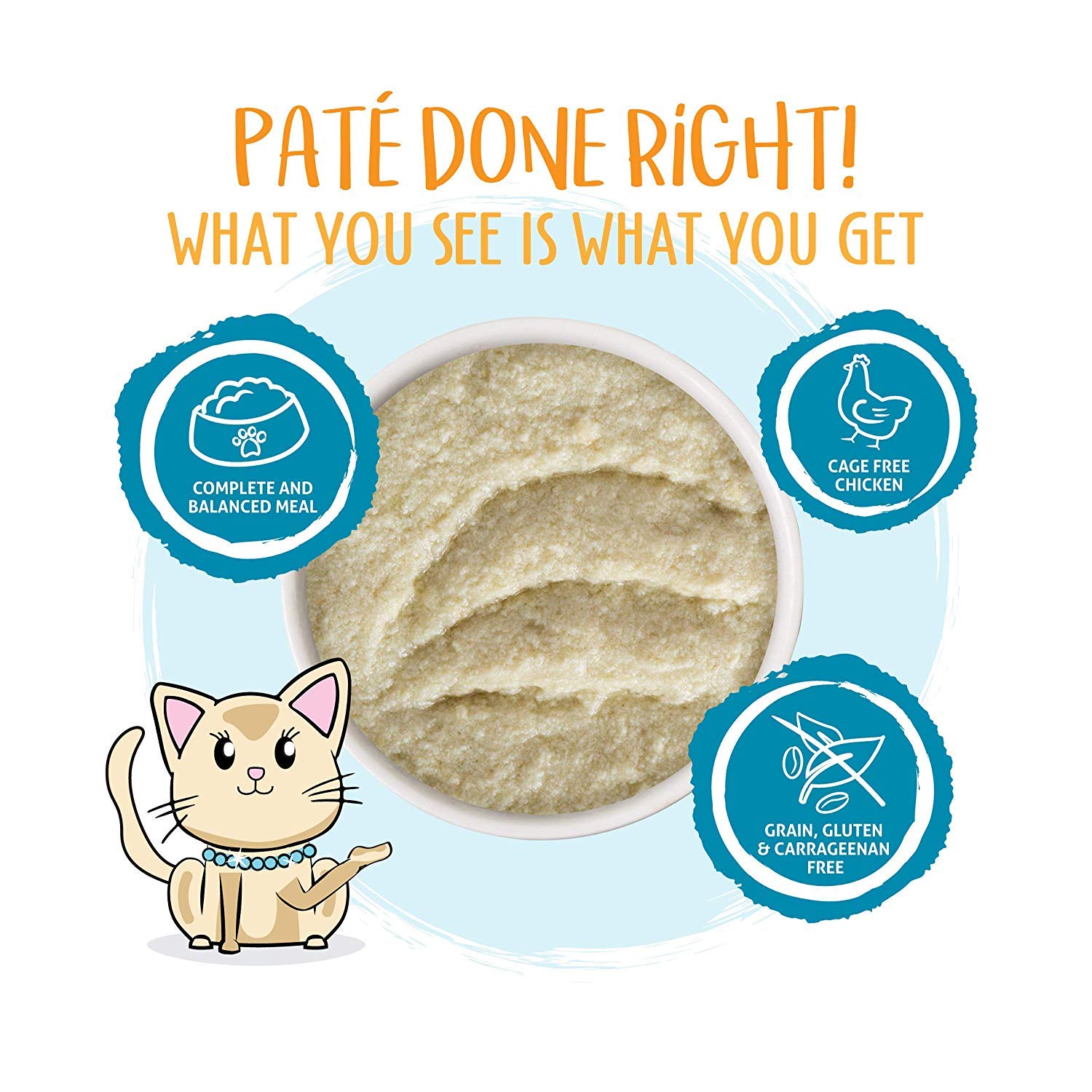 Creamy pate texture close-up, Weruva Press Your Lunch feeds easily