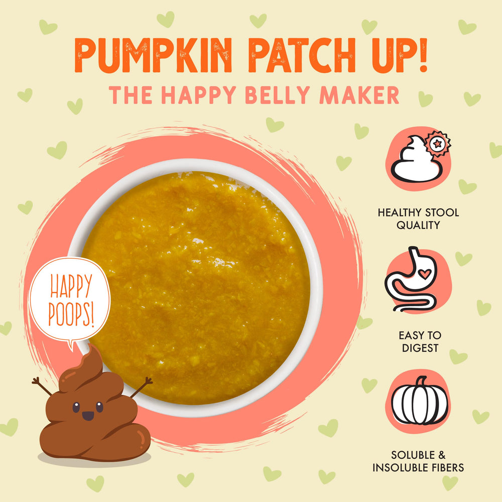 Weruva Pumpkin Patch Up ginger-turmeric ingredients for tummy-friendly flavor