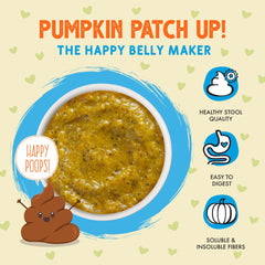 Cat enjoying Weruva Pumpkin Patch Up! as a meal topper.