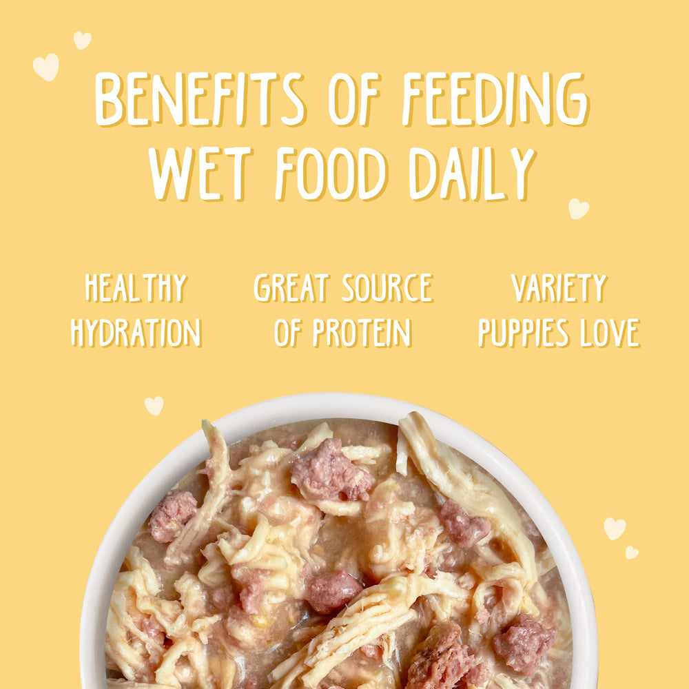 Ingredients label highlights gluten-free, carrageenan-free formula from Weruva for puppies