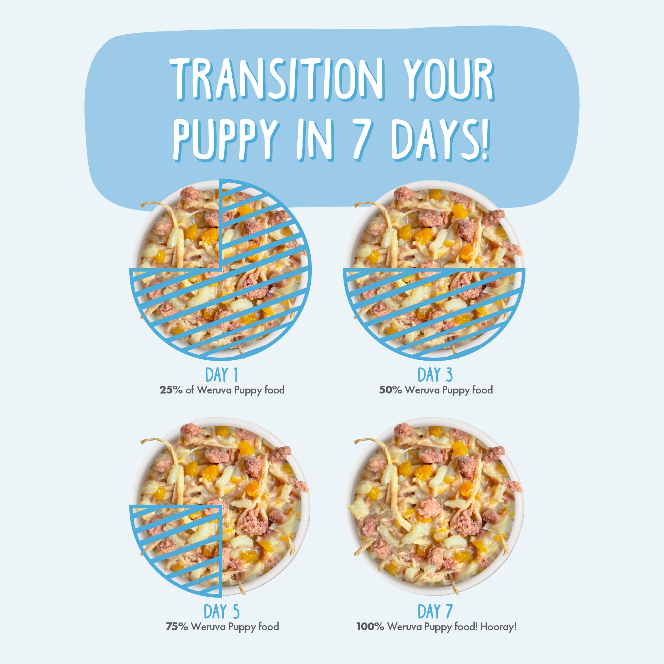 Happy puppy enjoying Weruva Puppy meal after a balanced lunch.