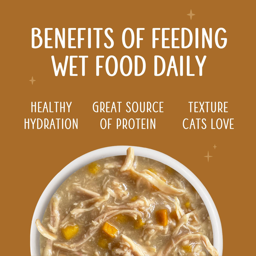 Leak-proof can display of Weruva Senior Cat Food chicken in gravy 3oz can suggests convenient feeding.