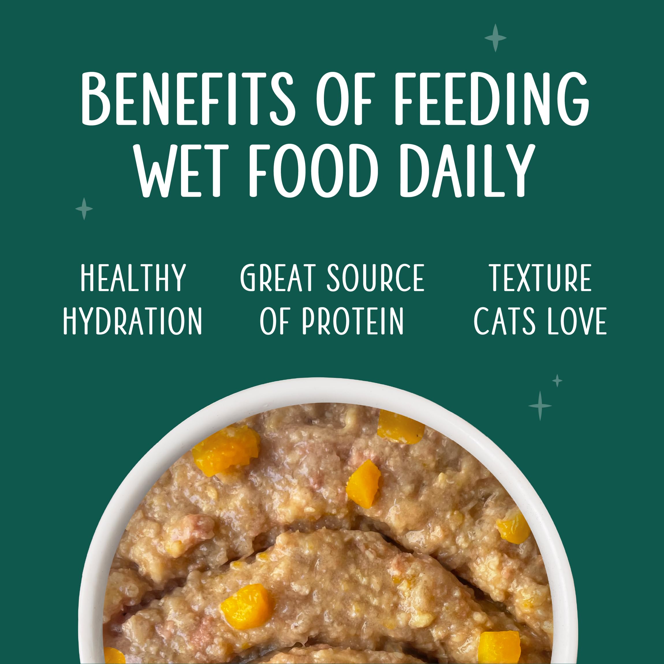 Weruva Senior Cat Food serving time scene shows easy feeding at mealtime.