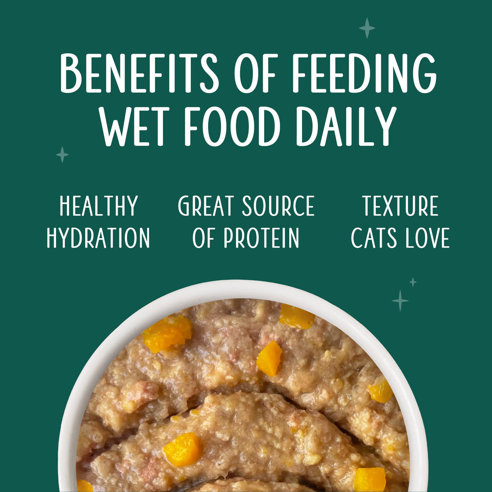Weruva Senior Cat Food serving time scene shows easy feeding at mealtime.