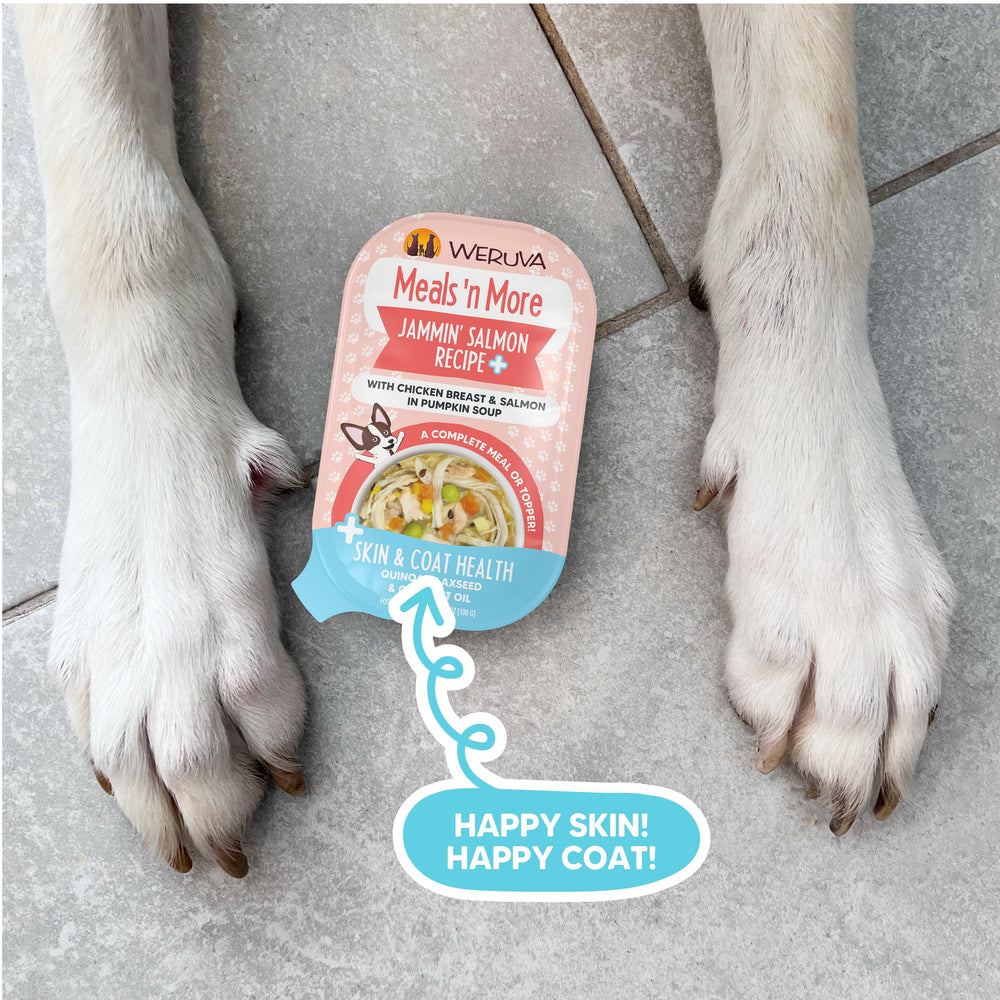 Serving in a dog bowl ready to be enjoyed by a canine companion.