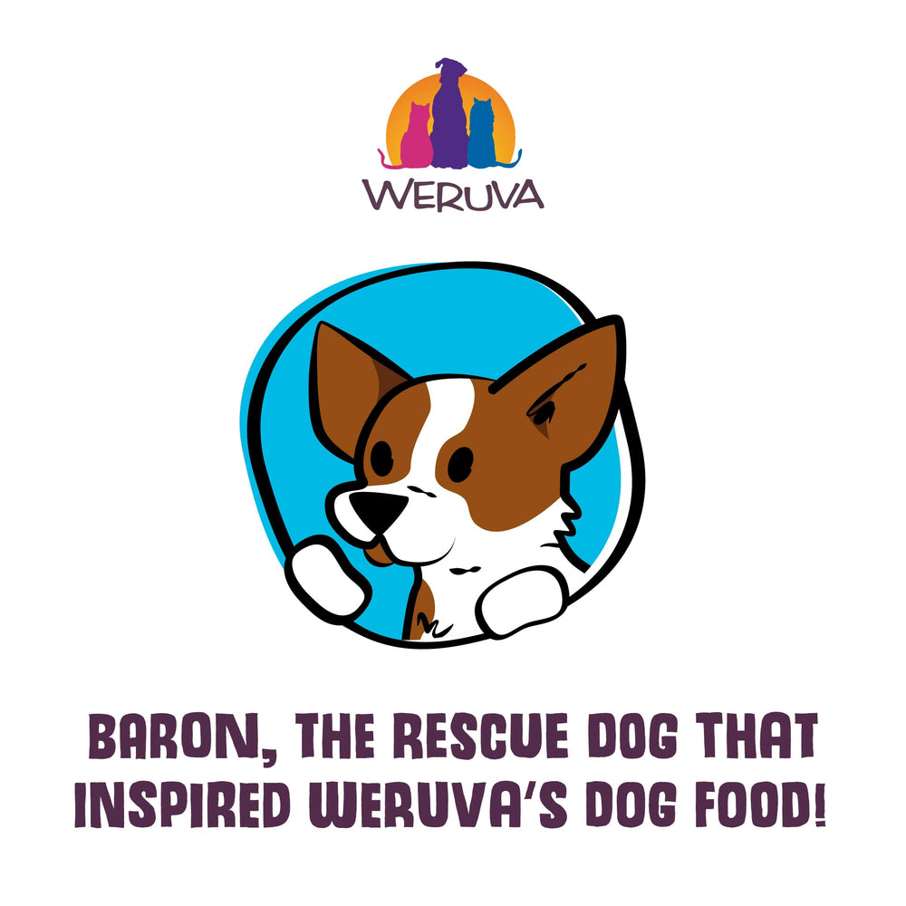 Teal Weruva packaging emphasizing Grandma's Chicken Soup branding