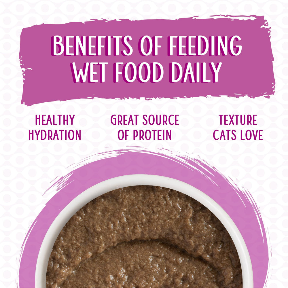 Weruva Tic Tac Whoa tuna-salmon pate can, no artificial colors or preservatives