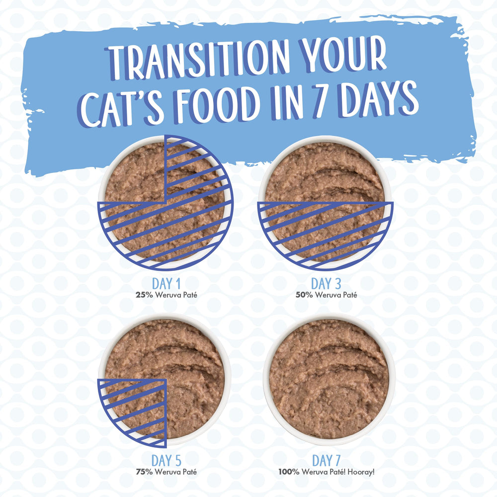 Weruva Tic Tac Whoa tuna-salmon pate plated for a cat's meal