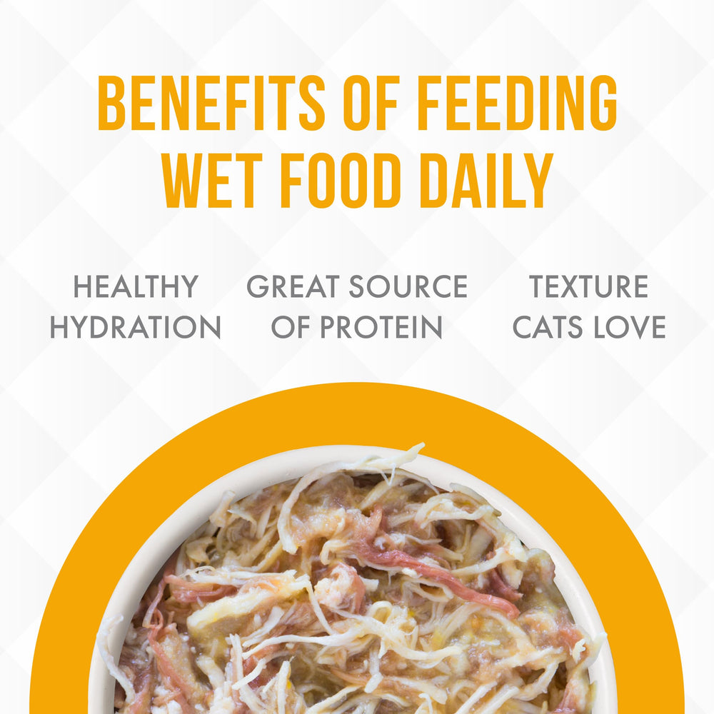 Weruva TruLuxe pumpkin soup with veggies—hydrating, tasty addition.