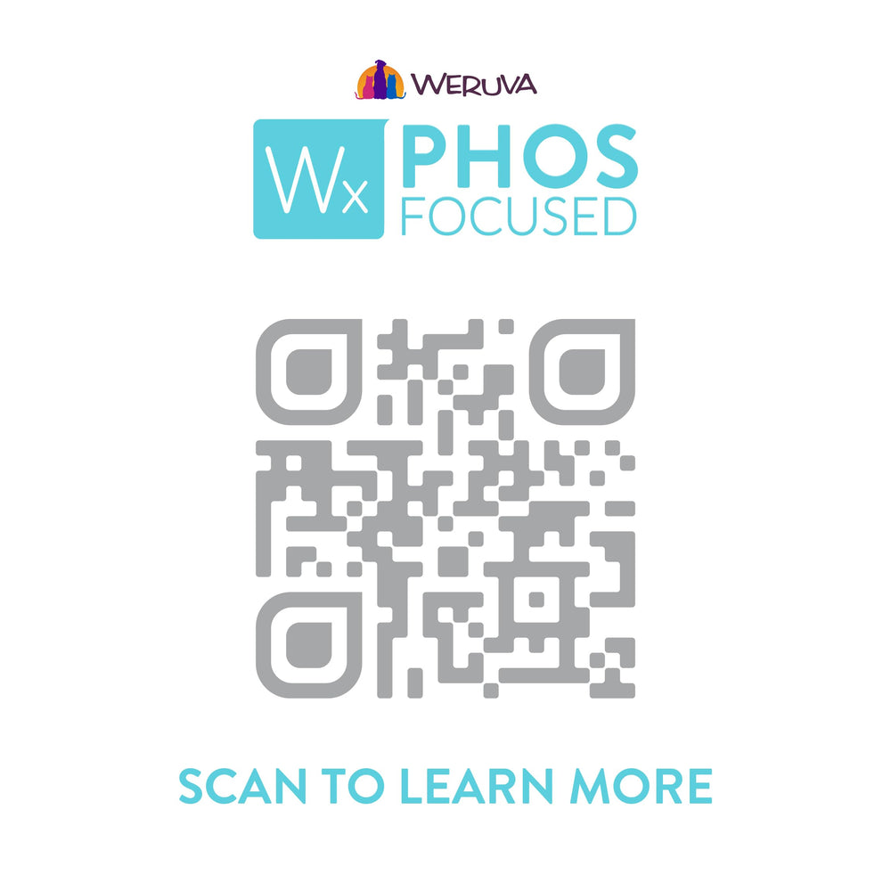 Cat enjoying Weruva Wx Phos Focused bites, demonstrates palatability