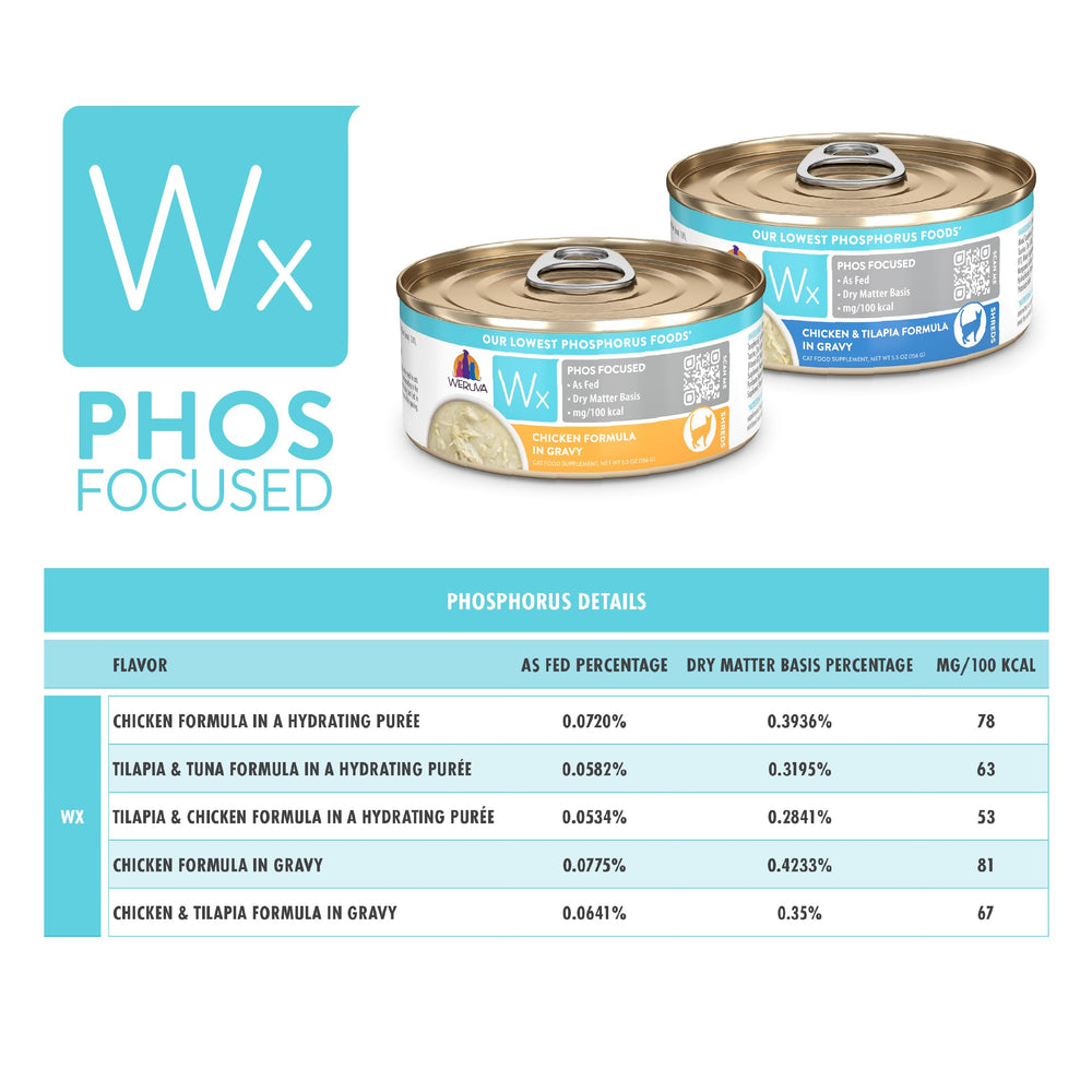 Weruva Wx Phos Focused cat enjoying meal suggests positive feeding experience