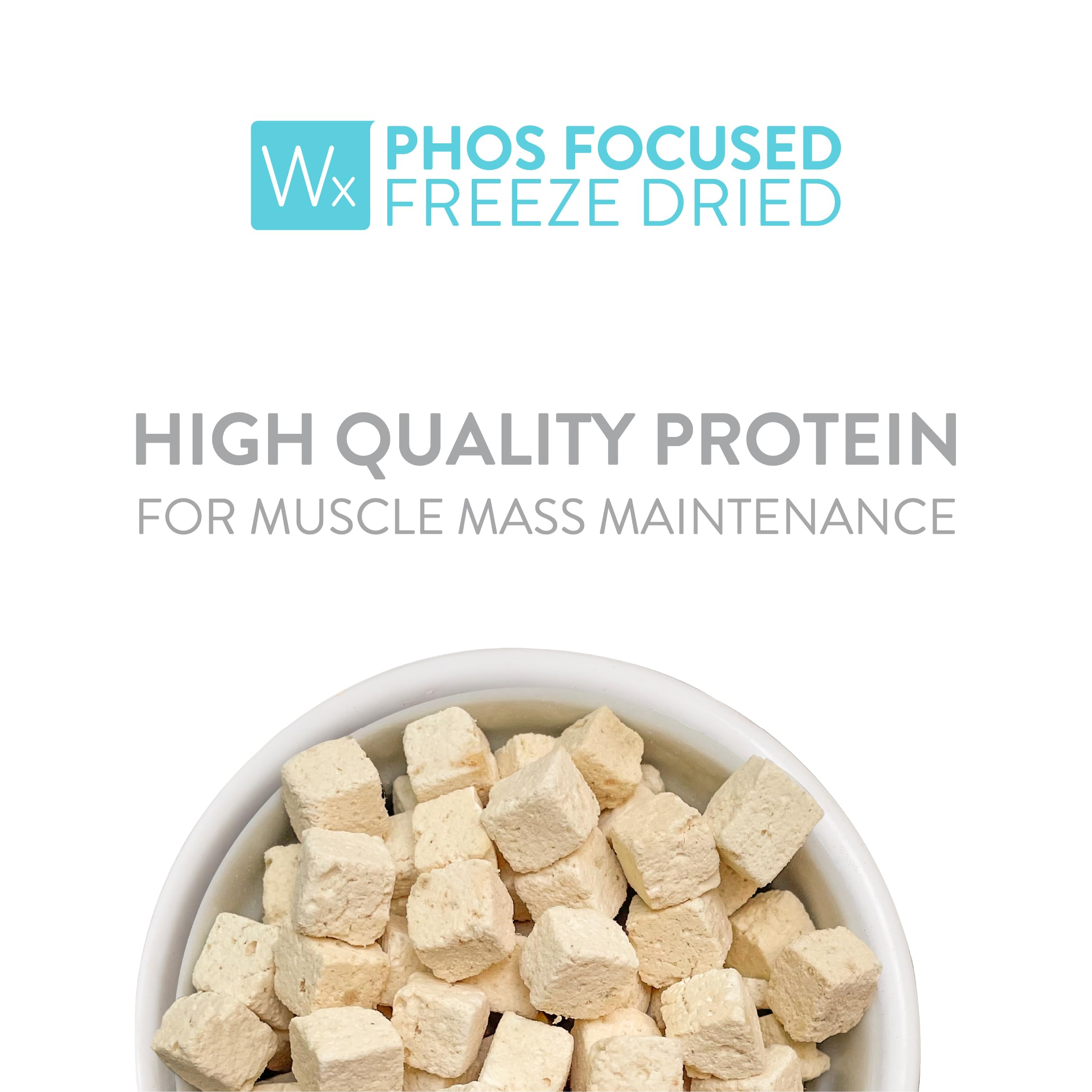 Weruva Wx Phos Focused egg white component closeup, natural protein source