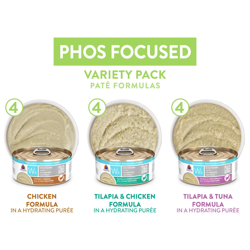 Close-up of smooth pate texture from Weruva Wx Phos Focused for palatable meals