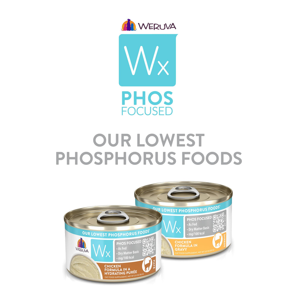 Weruva Wx Phos Focused serving idea in a cat bowl invites everyday feeding.