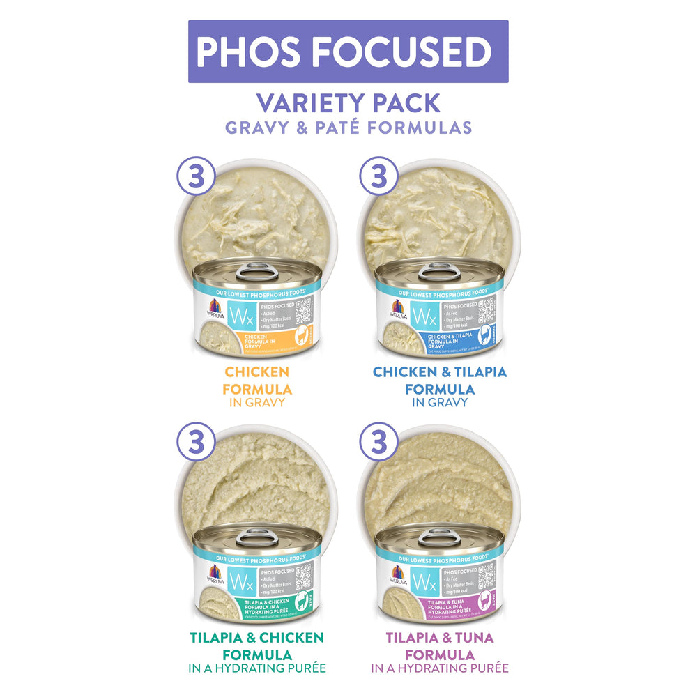 Weruva Wx Phos Focused pate texture close-up, showcasing protein-rich, easy-to-digest formula.