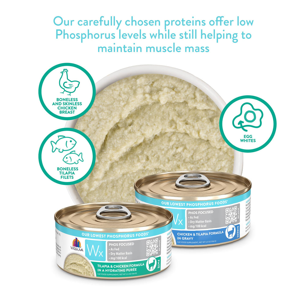 Weruva Wx Phos Focused hydration puree, ideal for picky drinkers and texture lovers.