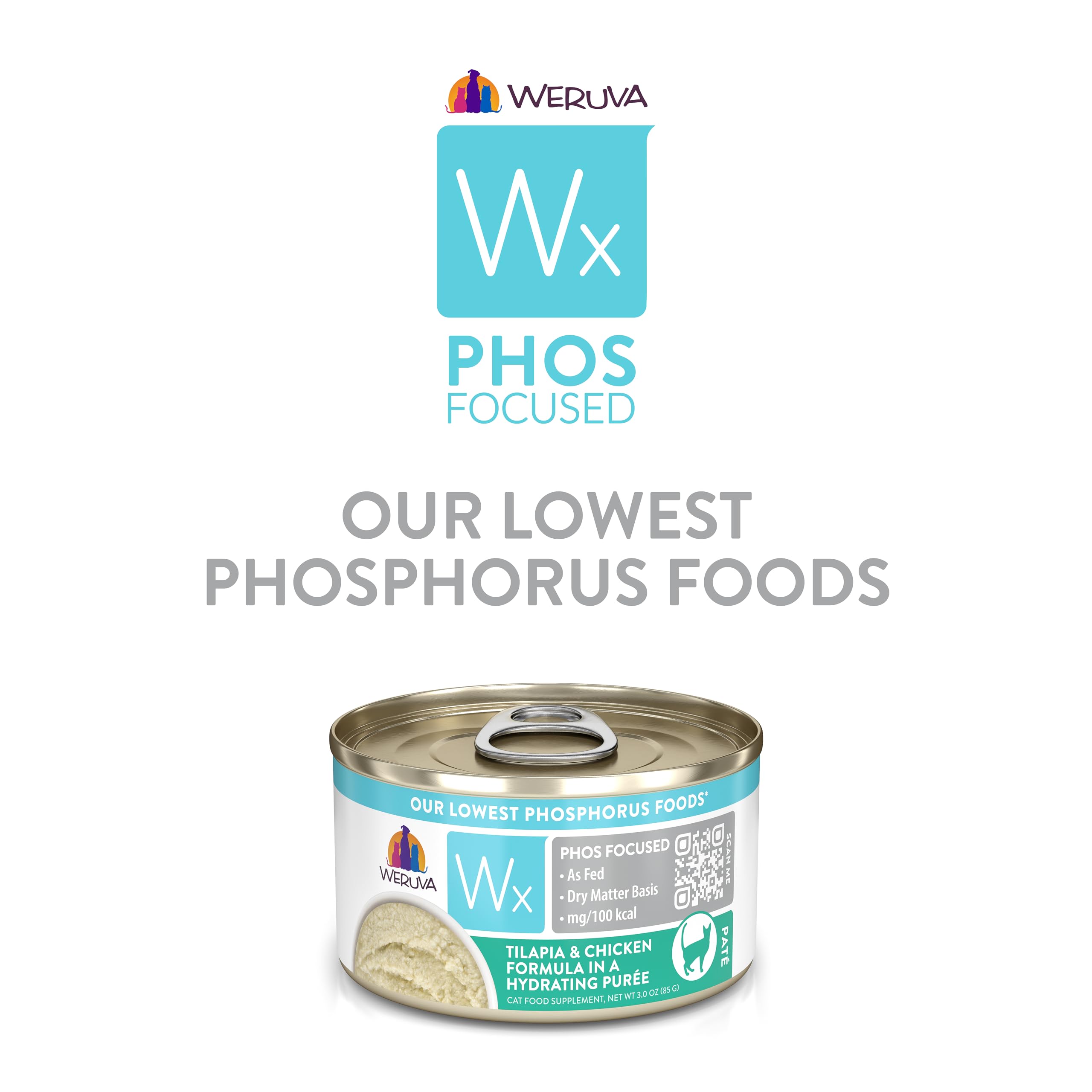 Lifestyle shot of a cat enjoying Weruva Wx Phos Focused Purée meal