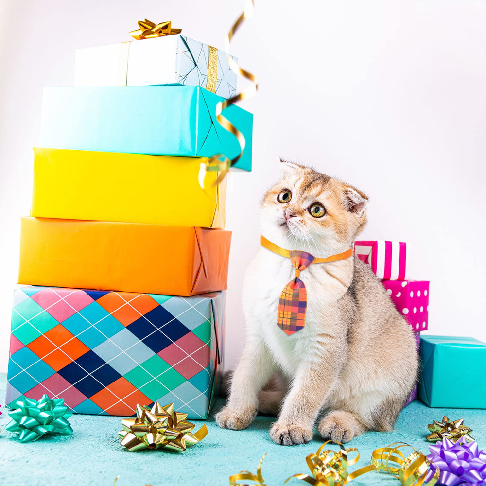 Wesiti dog tie used as photo shoot prop for pet photography