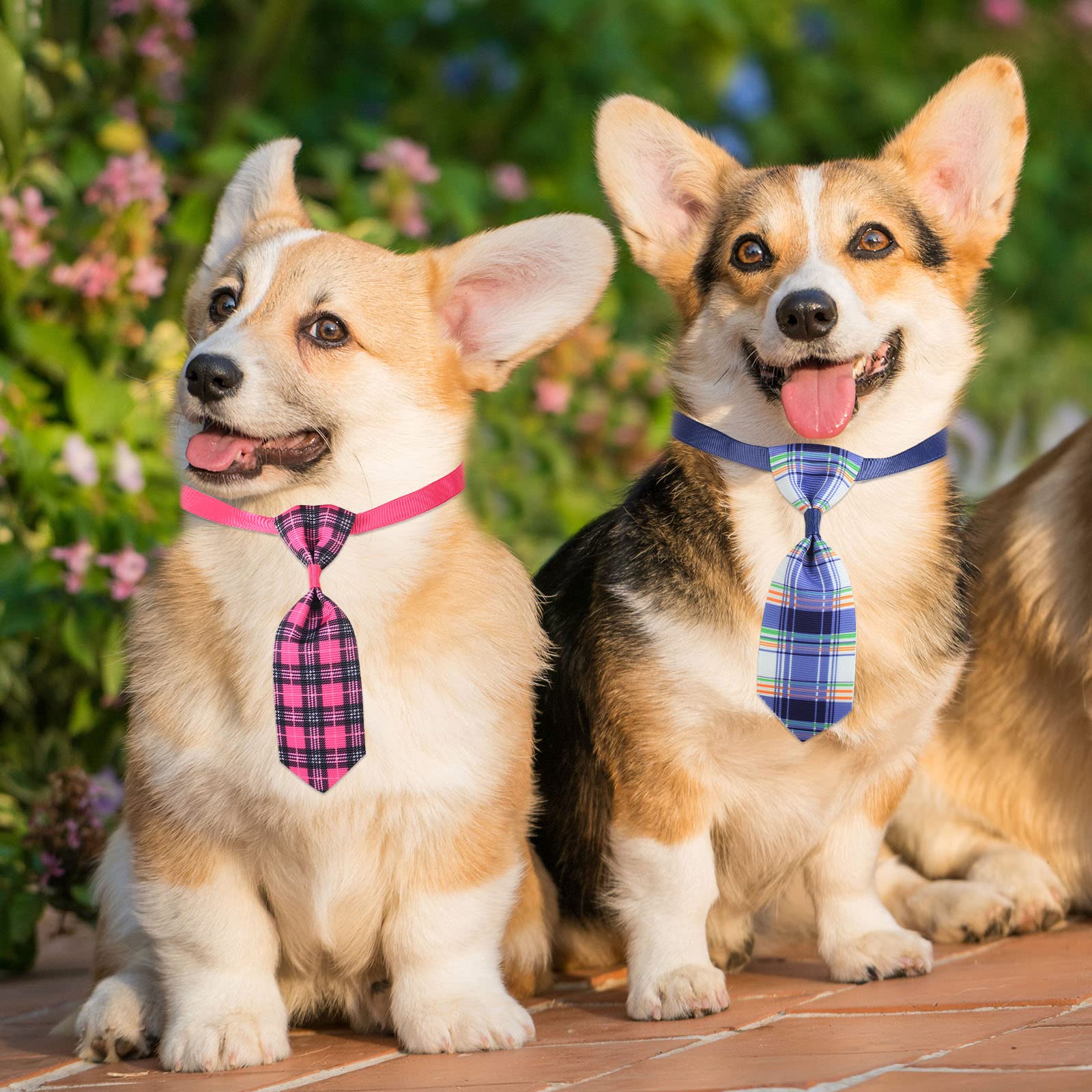 Wesiti holiday party dog accessory bright colors for festive occasions
