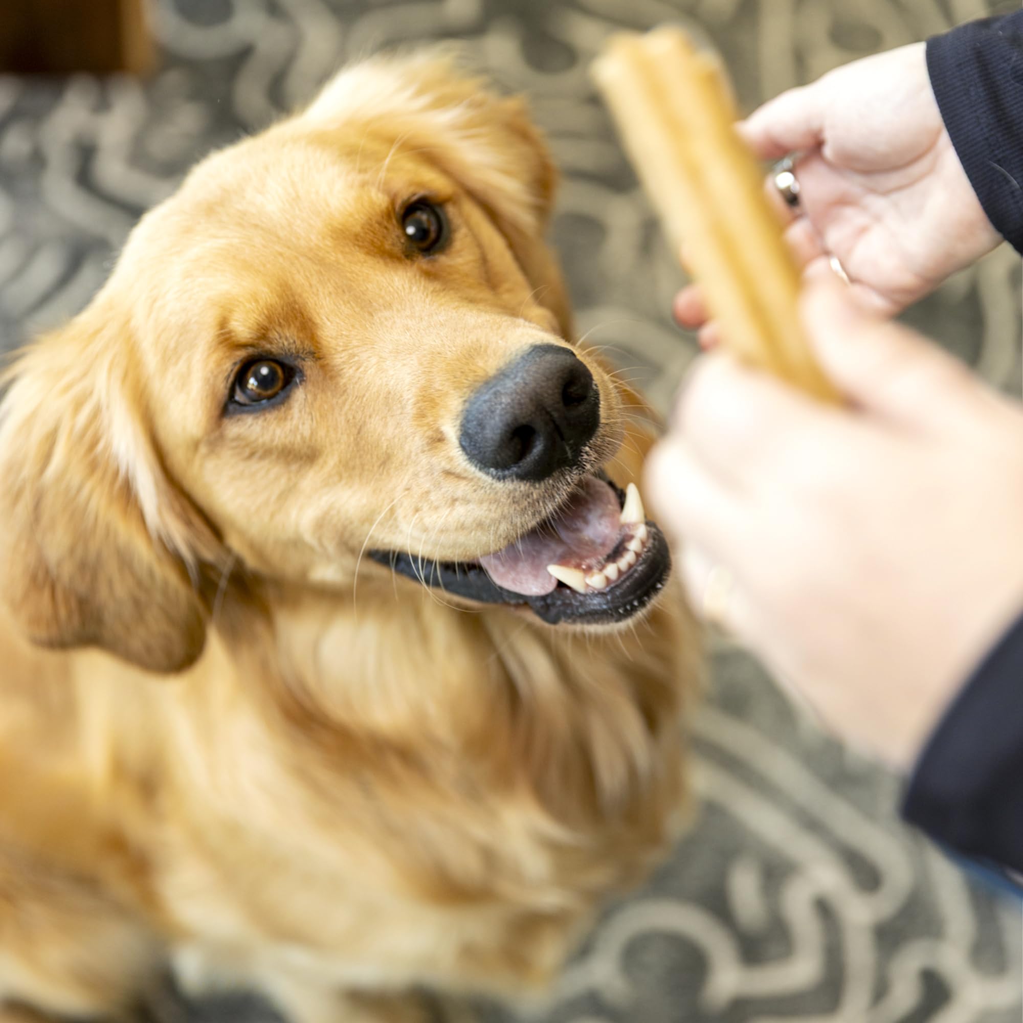 West Paw Dental Sticks upcycled apple ingredient highlighting sustainable sourcing.
