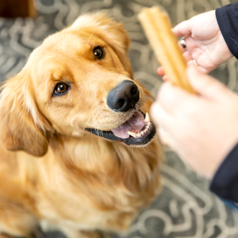 West Paw Dental Sticks upcycled apple ingredient highlighting sustainable sourcing.