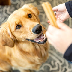 West Paw Dental Sticks upcycled apple ingredient highlighting sustainable sourcing.