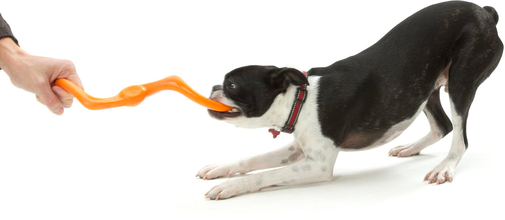 WEST PAW Zogoflex Bumi 8-inch Tangerine for clear visibility