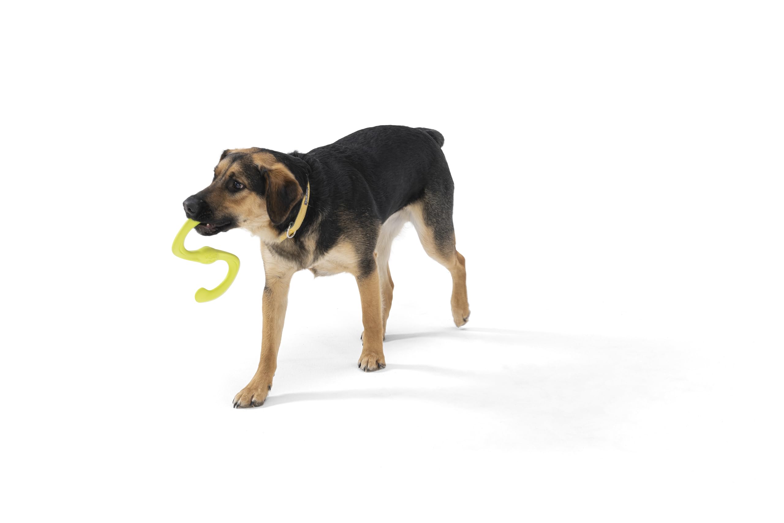 West Paw Zogoflex Bumi chew toy demonstrating resilience