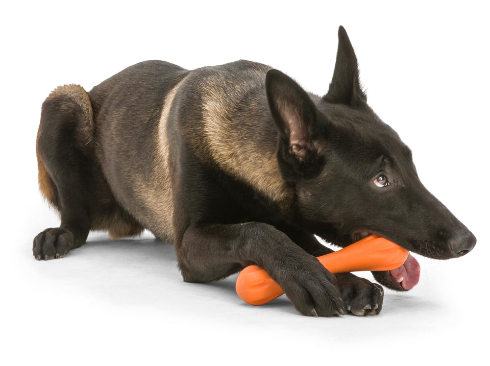 West Paw Zogoflex Hurley bone toy, large size, suits medium to large dogs.