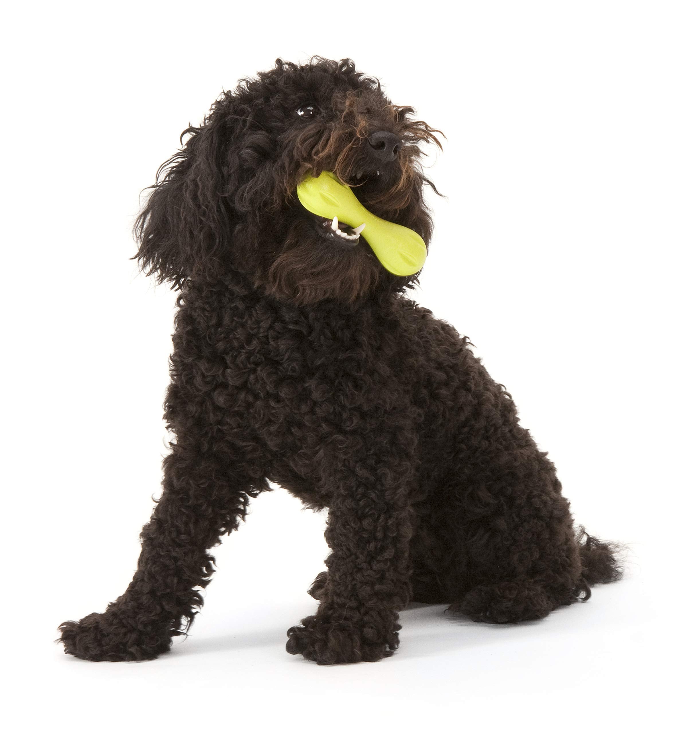 WEST PAW Zogoflex Hurley designed for aggressive chewers.