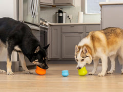 WEST PAW Zogoflex Toppl close-up shows durable non-toxic material for safe play.
