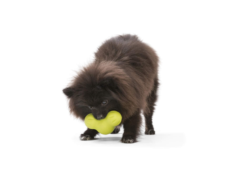 WEST PAW Zogoflex Tux fetch-toy in action during playtime