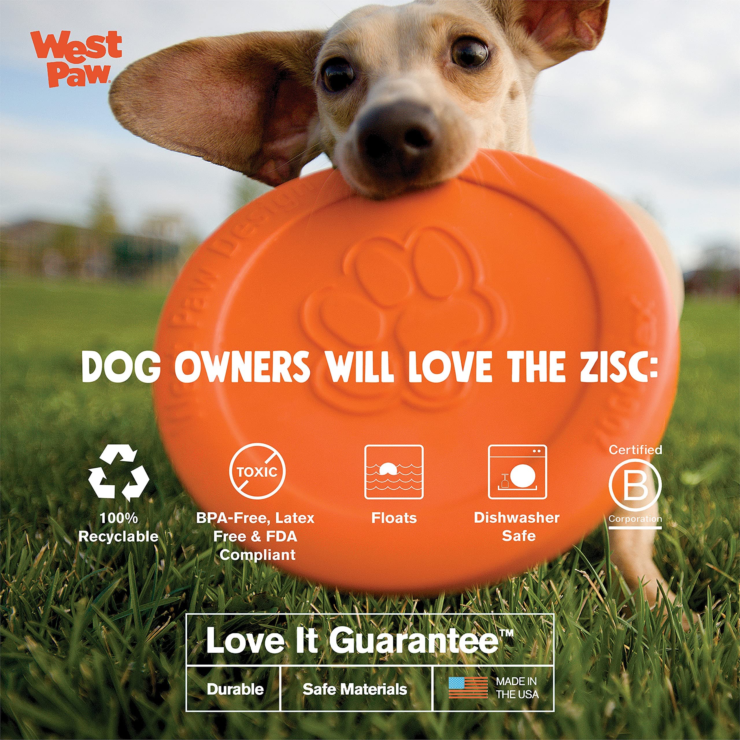 West Paw Zogoflex Zisc floating disc for water-friendly play