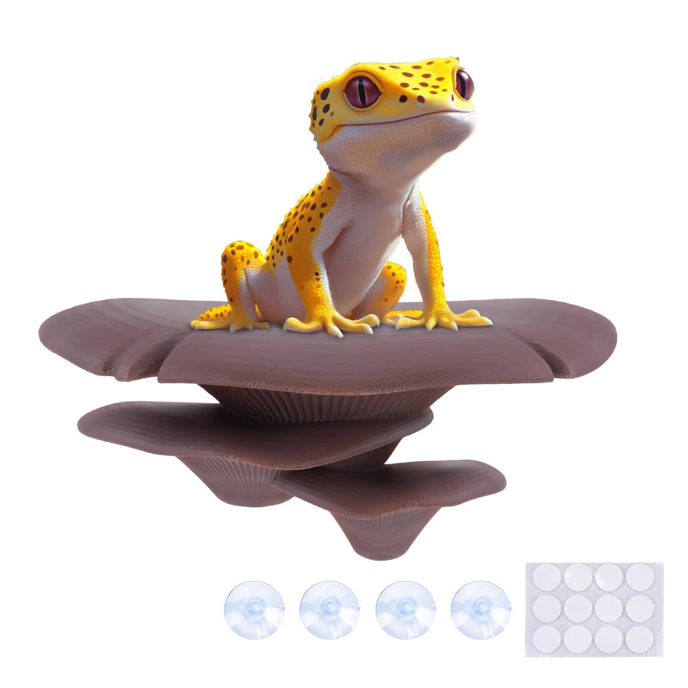 Westant mushroom decor enriched tank habitat with natural look and feel.