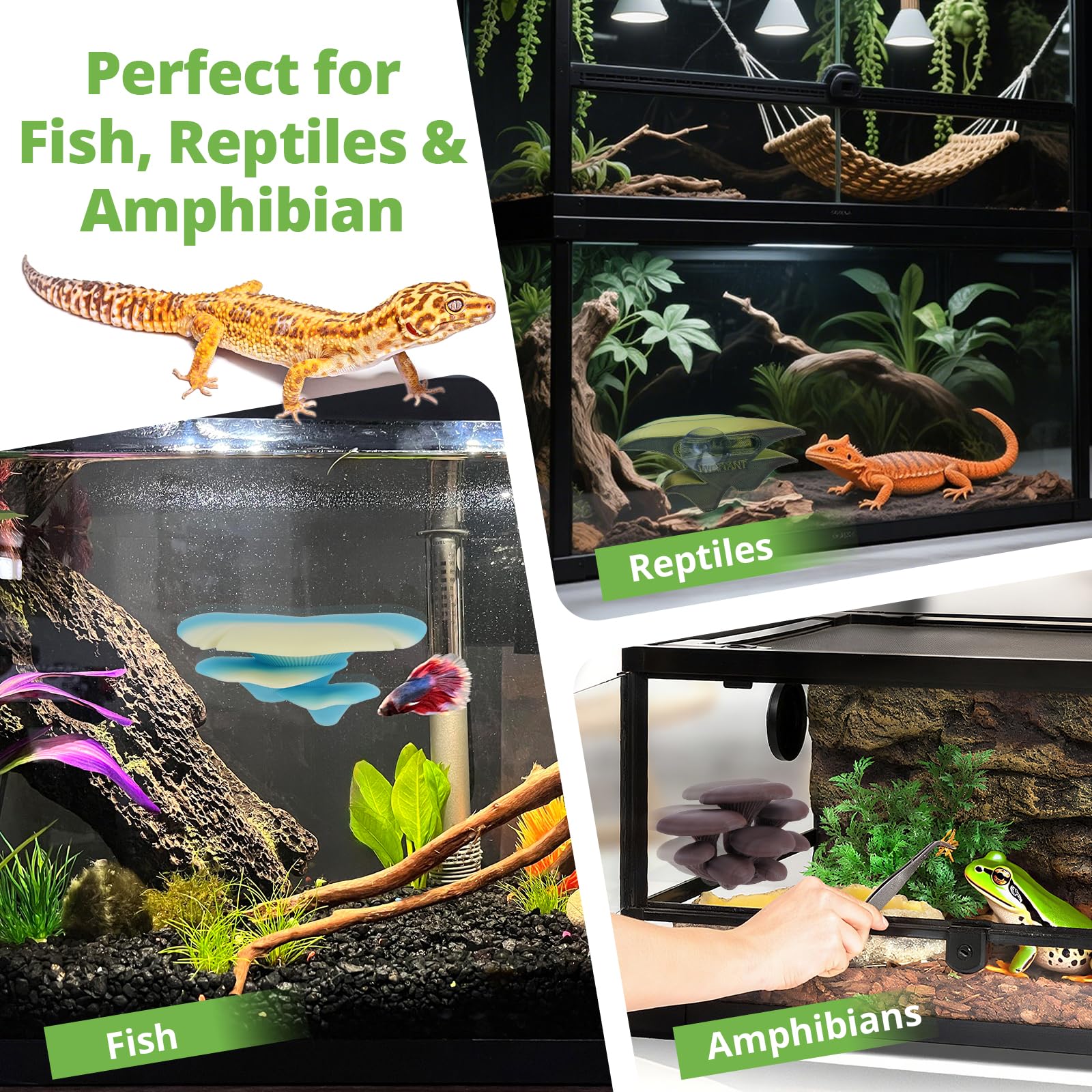 Westant mushroom decor forest mushrooms cocoa enhances tank ambiance for small reptiles.