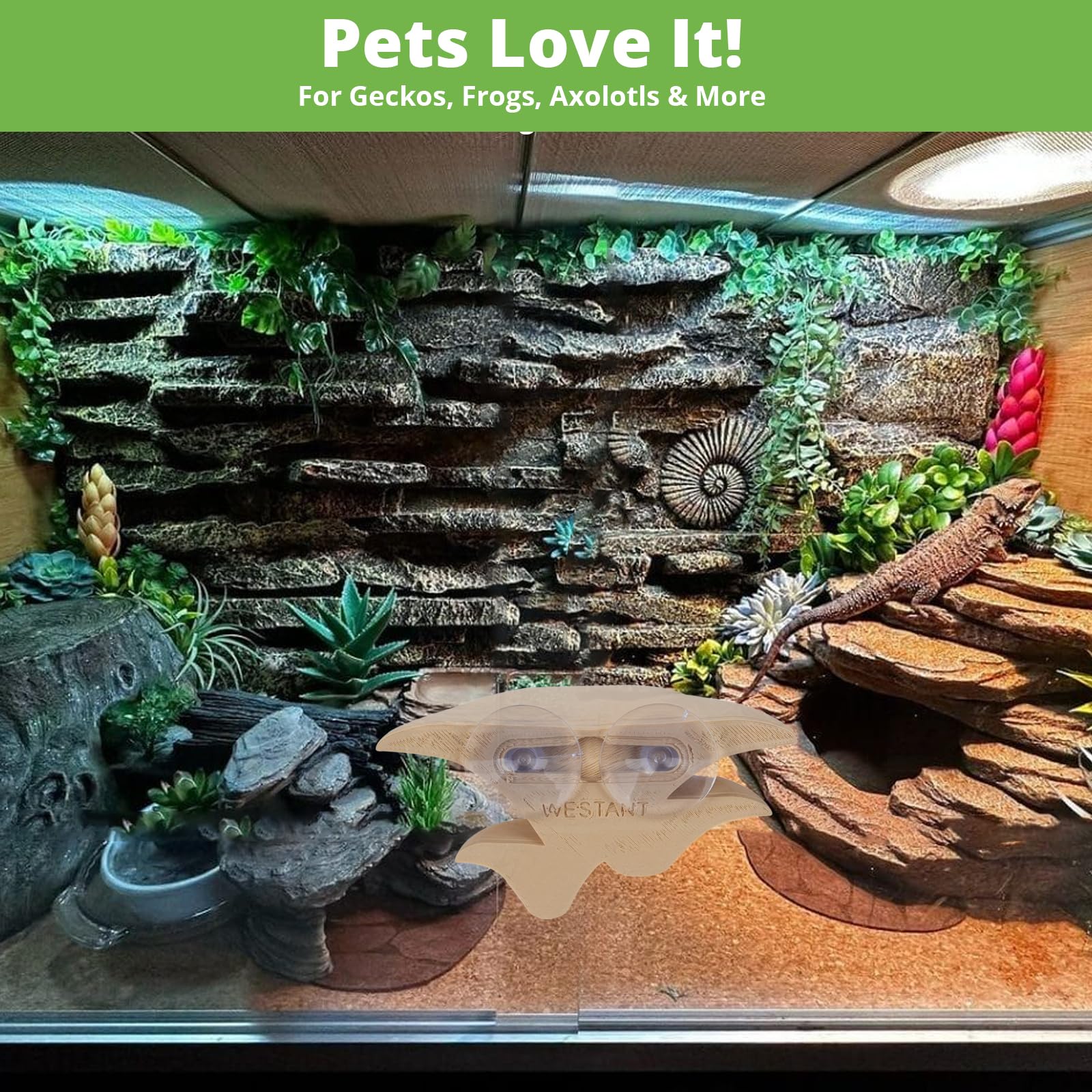 Westant mushroom hiding spots encourage climbing and exploration in terrariums