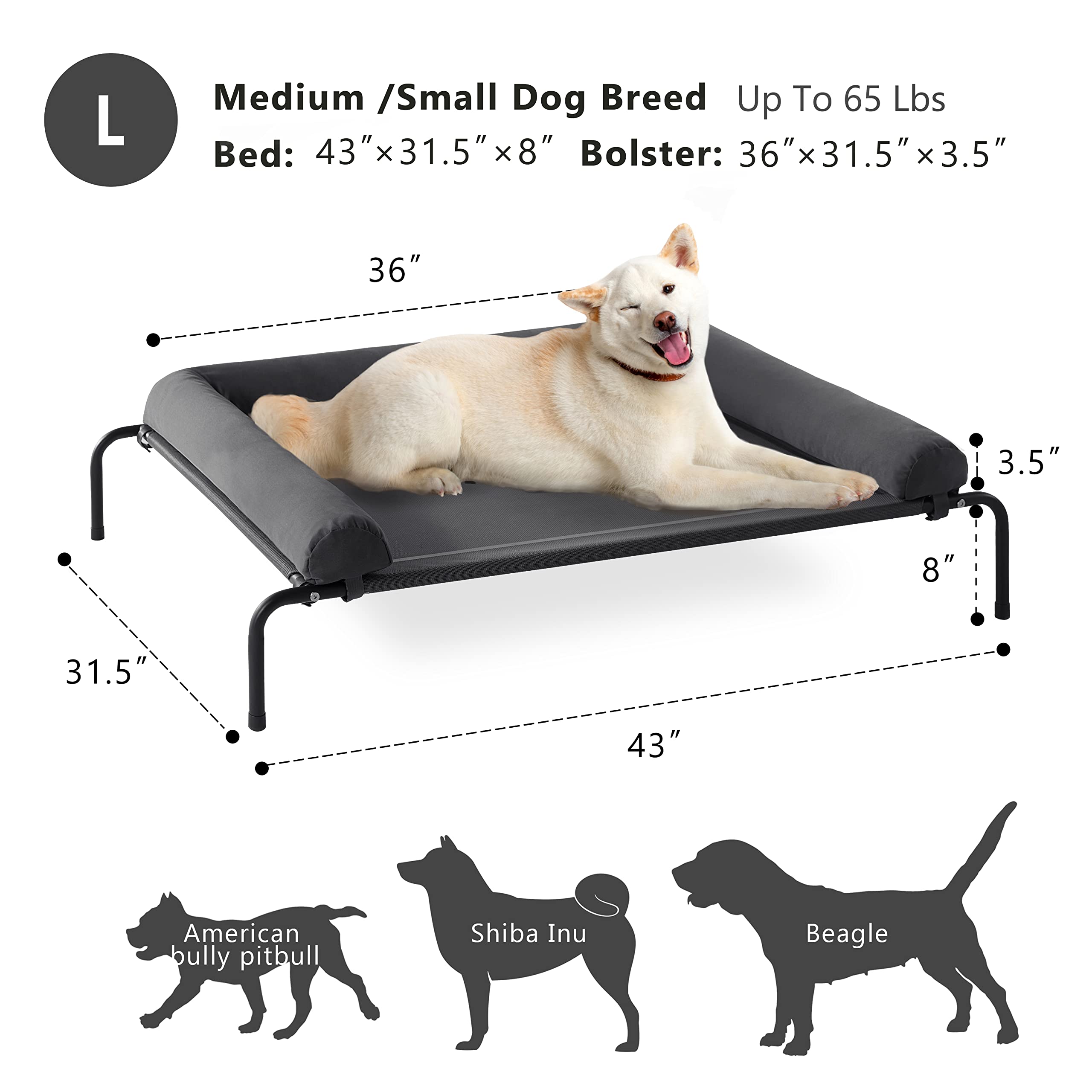 WESTERN HOME mesh cot with 8-inch height promotes airflow and cooling.