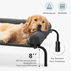 WESTERN HOME raised anti-chew frame provides secure support for active dogs.