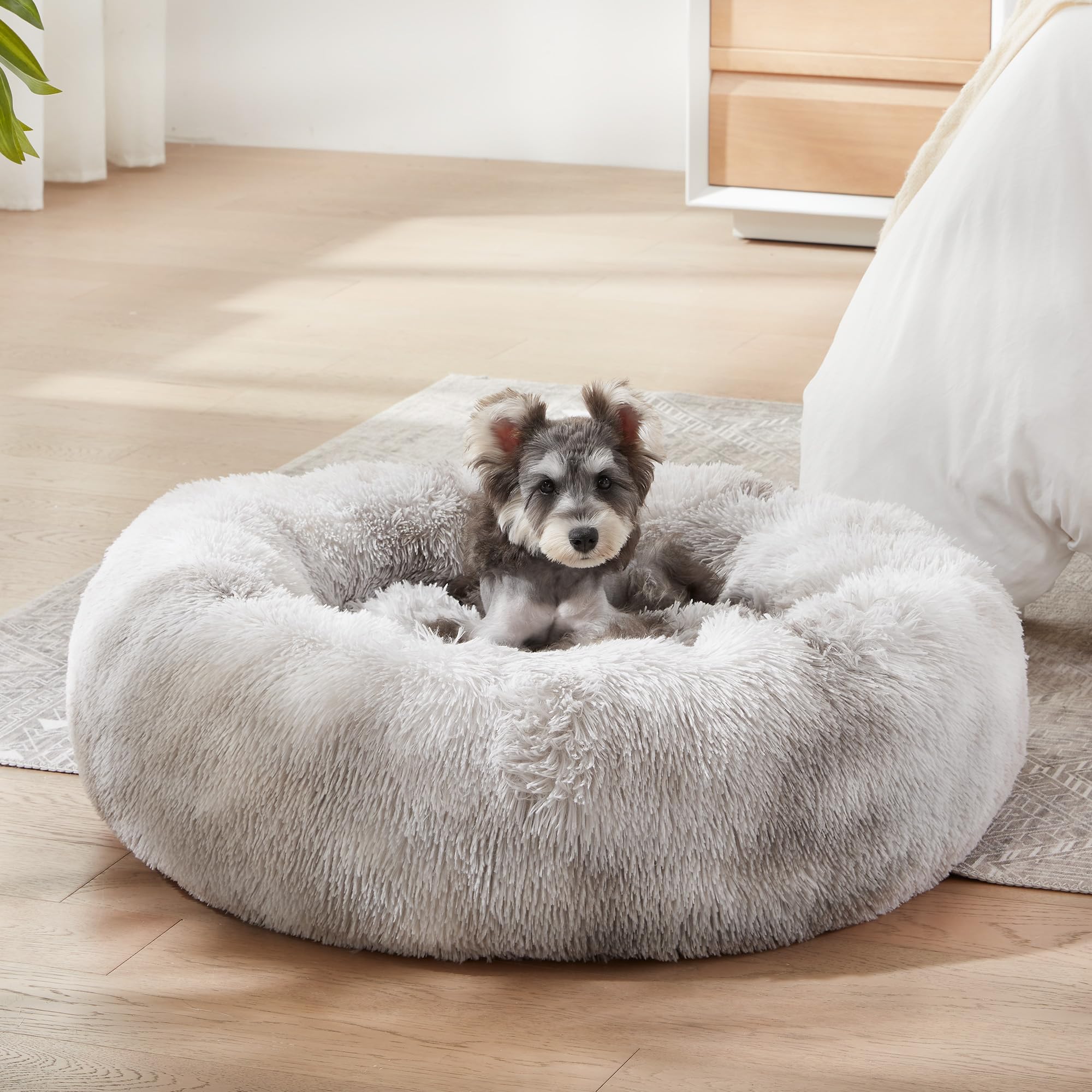 WESTERN HOME WH 20inch-donut-bed is ideal for small pets.