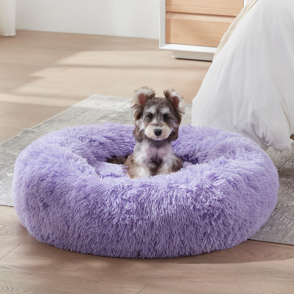Western Home WH anti-slip bottom keeps pets secure during play.