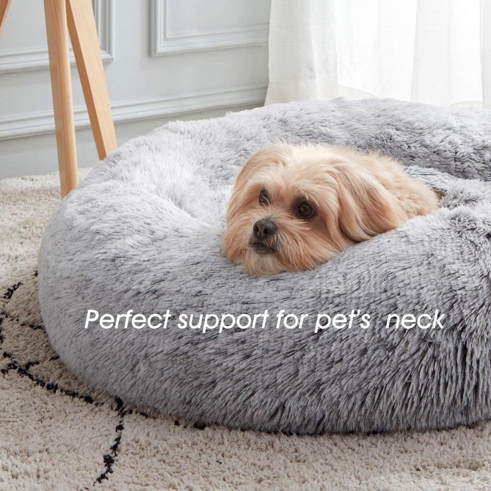 WESTERN HOME WH Available sizes from 20 to 30 inches for small to medium pets.