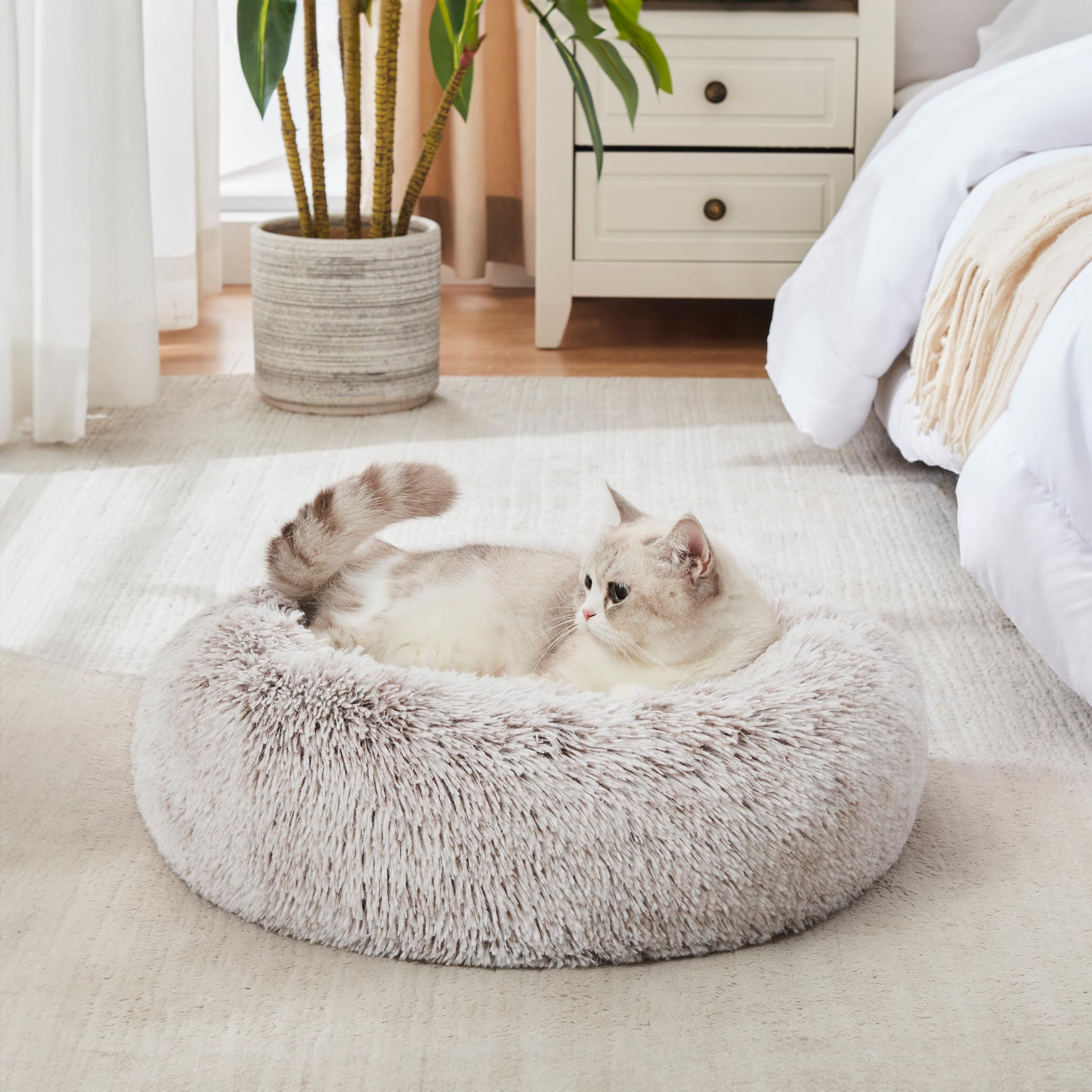 WESTERN HOME WH calming bed in use offers cozy snuggle